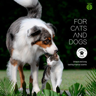 Amazonia Acai Vegan & Natural Shampoo | Pawlicious & Company