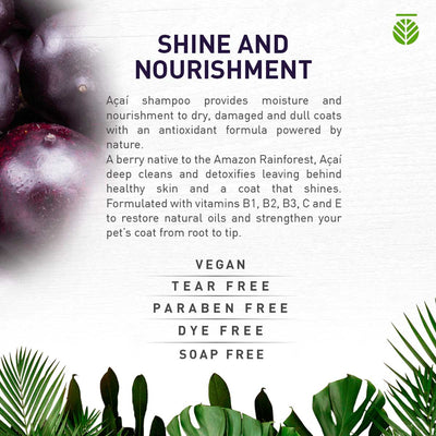 Amazonia Acai Vegan & Natural Shampoo | Pawlicious & Company