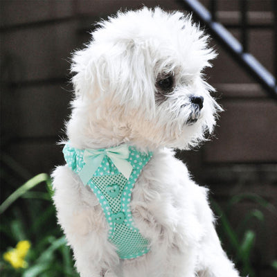 American River Choke Free Dog Harness in Teal Polka Dot | Pawlicious & Company