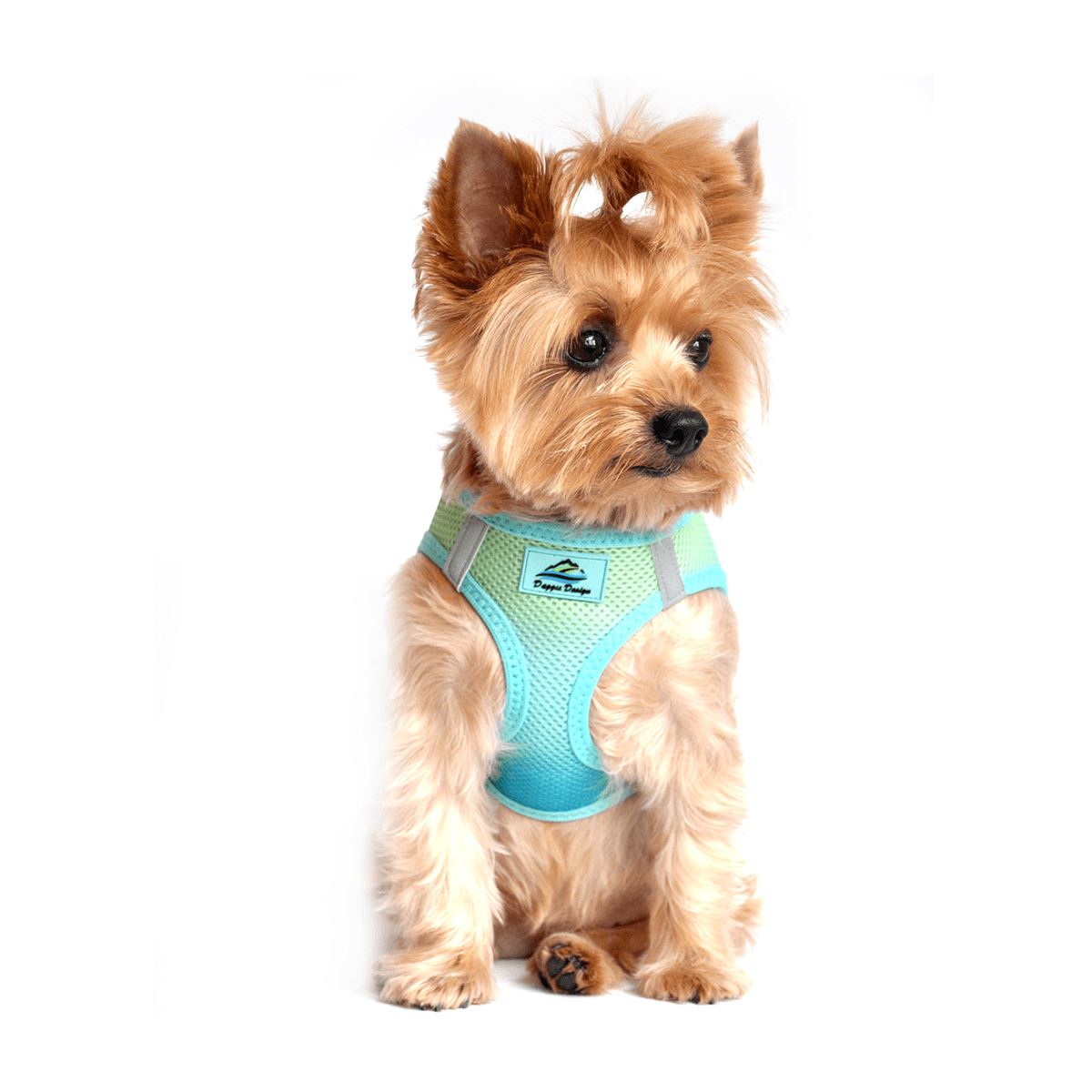 American River Choke Free Dog Harness - Ombre Aruba Blue | Pawlicious & Company