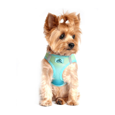 American River Choke Free Dog Harness - Ombre Aruba Blue | Pawlicious & Company