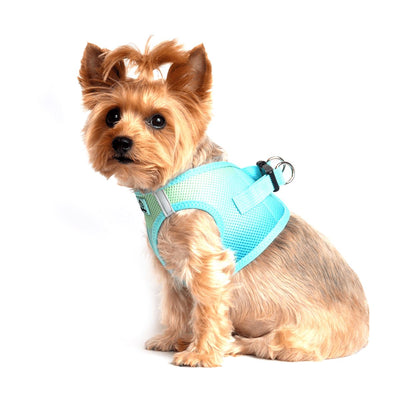 American River Choke Free Dog Harness - Ombre Aruba Blue | Pawlicious & Company