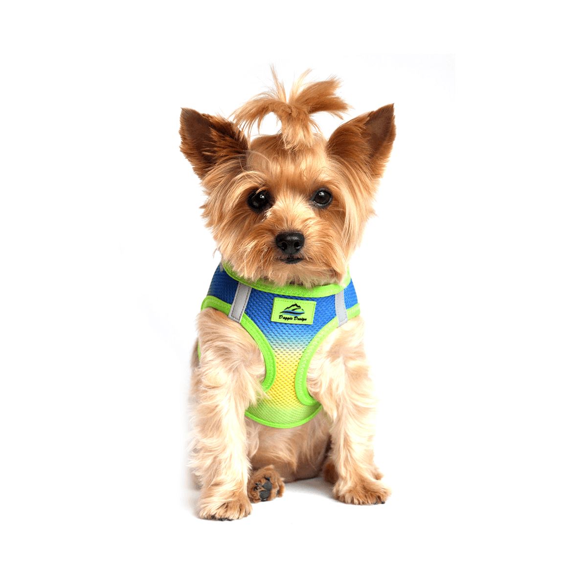 American River Choke Free Dog Harness - Ombre Cobalt Sport | Pawlicious & Company