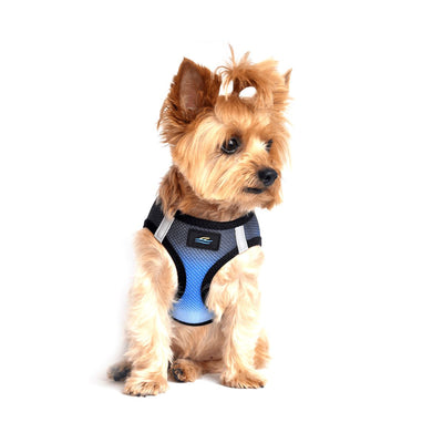 American River Choke Free Dog Harness - Ombre Midnight Sky | Pawlicious & Company