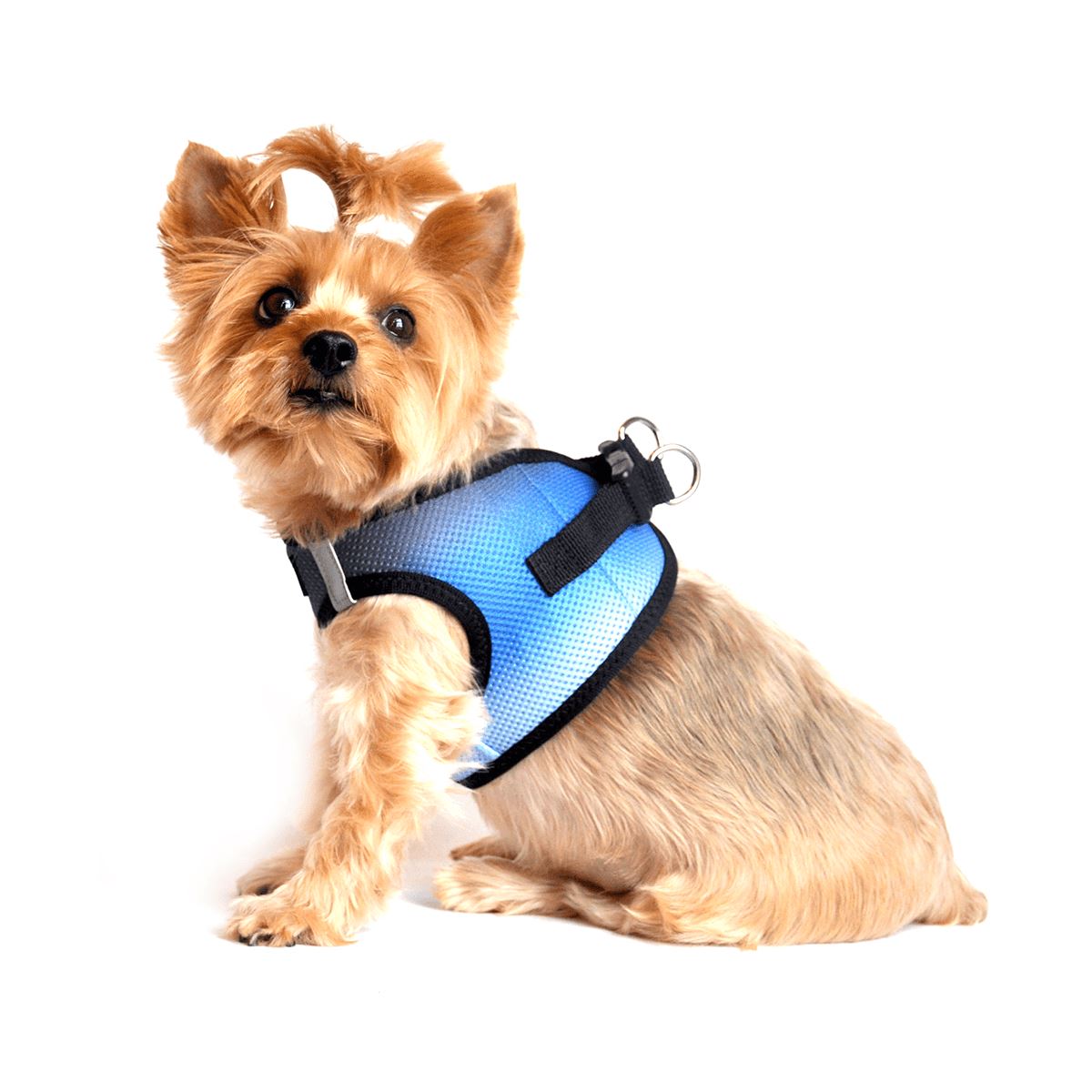 American River Choke Free Dog Harness - Ombre Midnight Sky | Pawlicious & Company