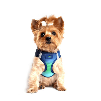 American River Choke Free Dog Harness - Ombre Northern Lights | Pawlicious & Company