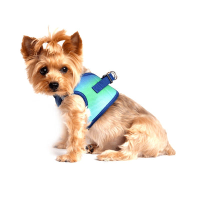 American River Choke Free Dog Harness - Ombre Northern Lights | Pawlicious & Company