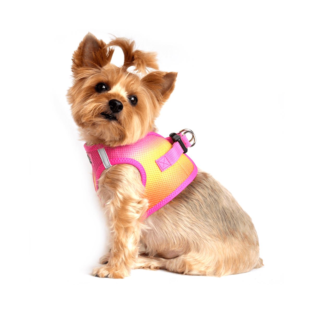 American River Choke Free Dog Harness - Ombre Raspberry Pink & Orange | Pawlicious & Company