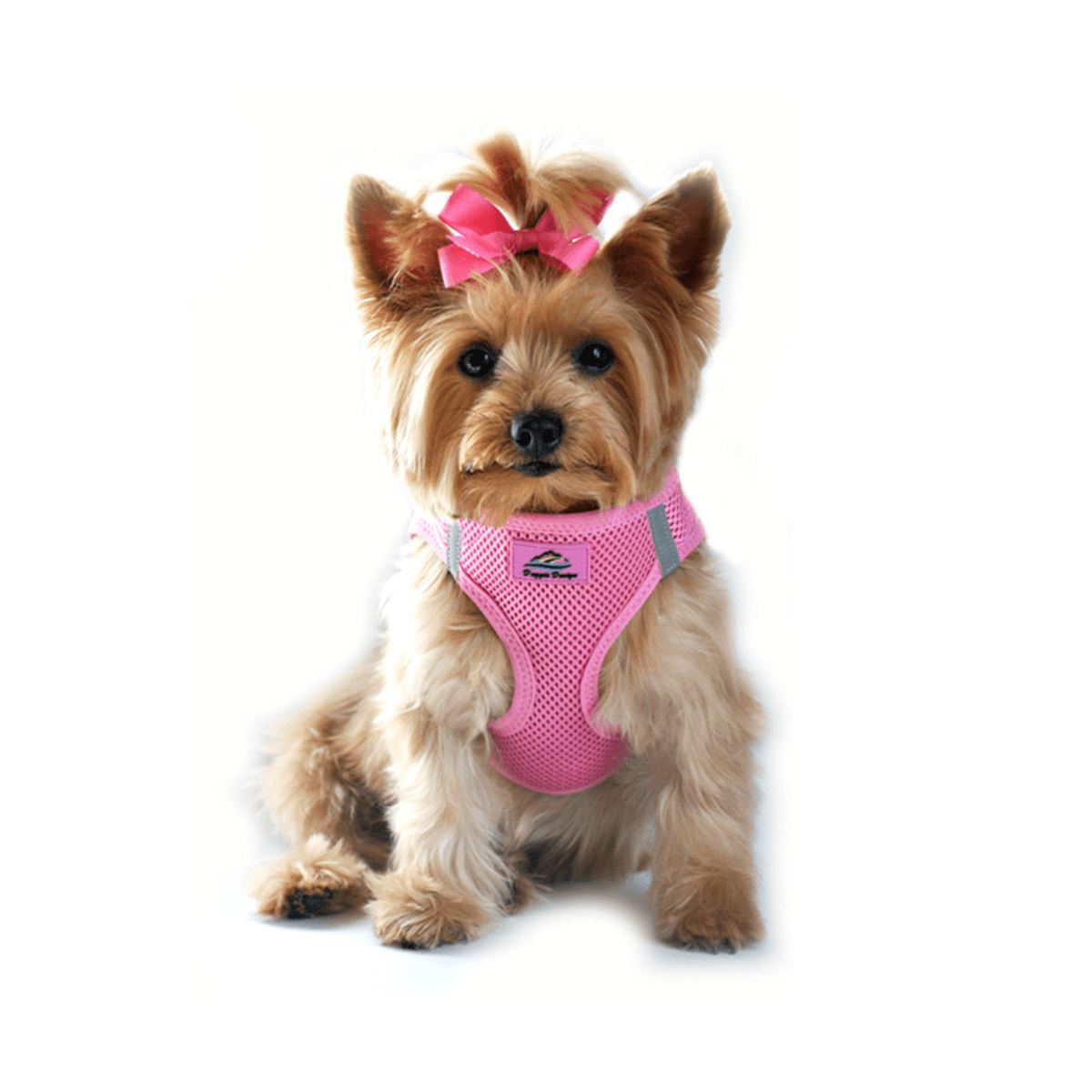 American River Choke Free Dog Harness - Solid Candy Pink | Pawlicious & Company