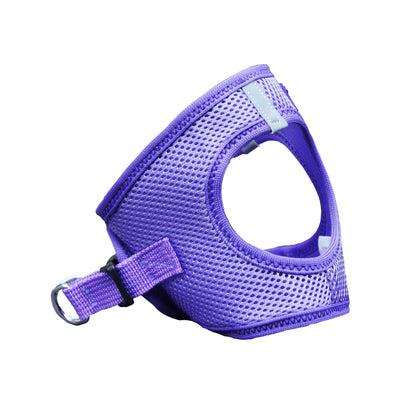 American River Choke Free Dog Harness - Solid Paisley Purple | Pawlicious & Company