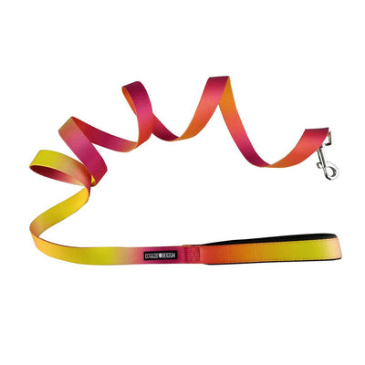 American River Ombre Leash - Raspbery Pink & Orange | Pawlicious & Company