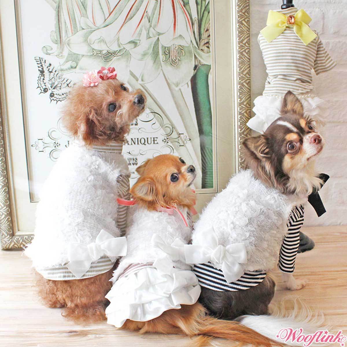 Baby Dog Vest | Pawlicious & Company