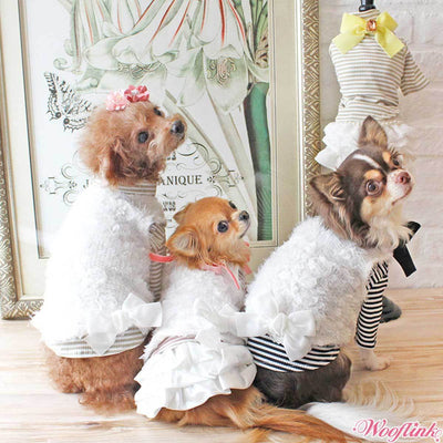 Baby Dog Vest | Pawlicious & Company
