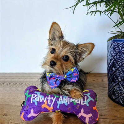 Balloon Doggy Collar Bow Tie | Pawlicious & Company