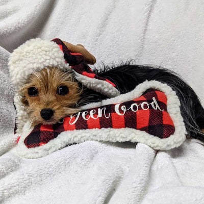I've Been Good Bone Plush Dog Toy | Pawlicious & Company