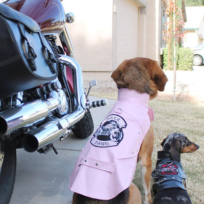 Biker Dawg Motorcycle Dog Jacket - Pink | Pawlicious & Company