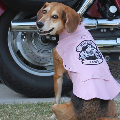 Biker Dawg Motorcycle Dog Jacket - Pink | Pawlicious & Company