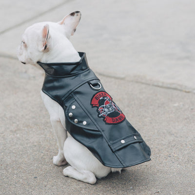 Biker Dawg Motorcycle Dog Jacket - Black | Pawlicious & Company