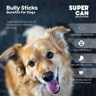 Bully Stick Odor Free