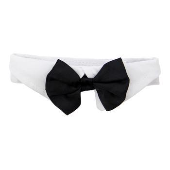 Black Satin Dog Bow Tie and Collar | Pawlicious & Company