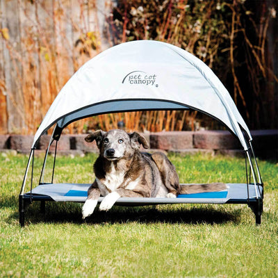 Blue Dog Cot Canopy | Pawlicious & Company