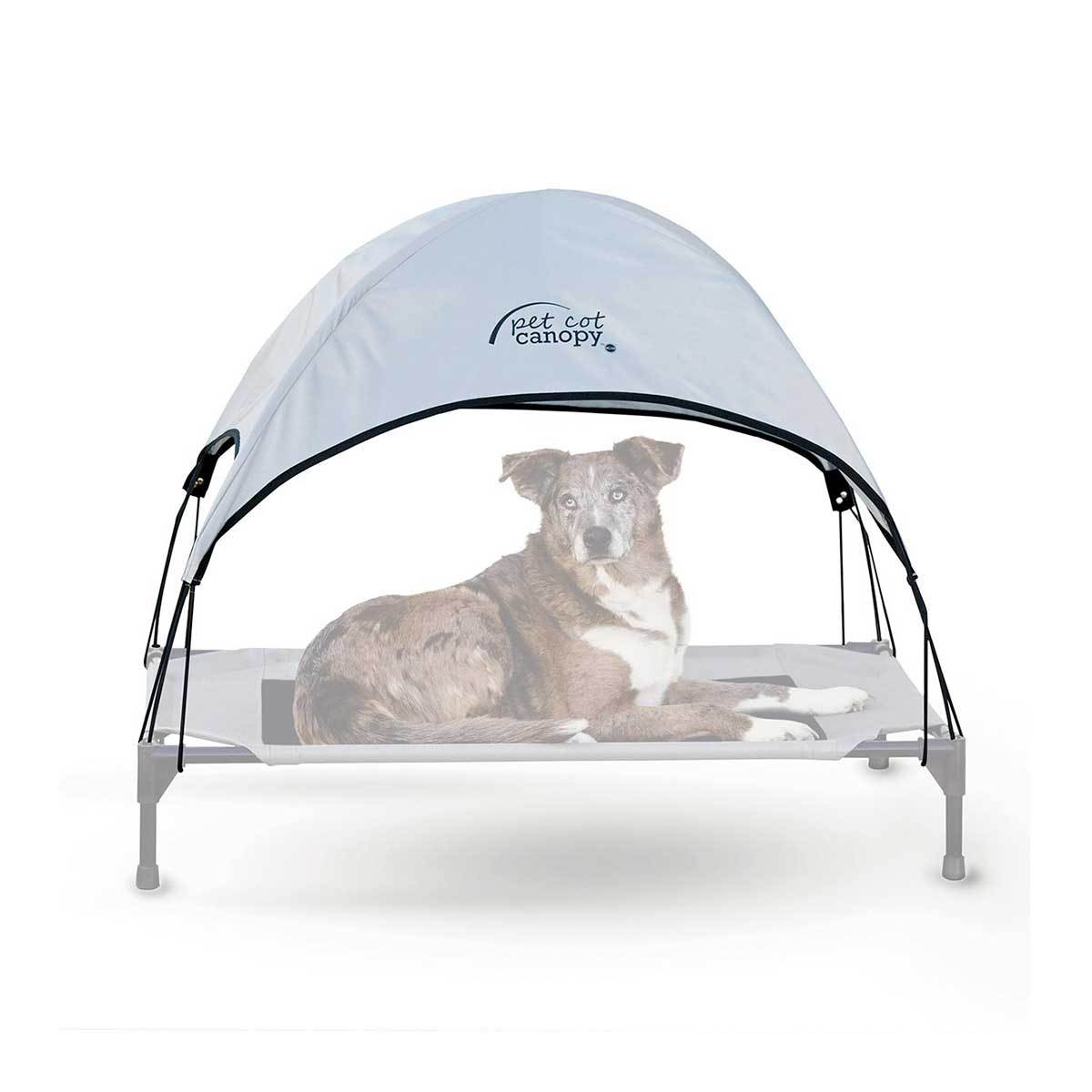Blue Dog Cot Canopy | Pawlicious & Company