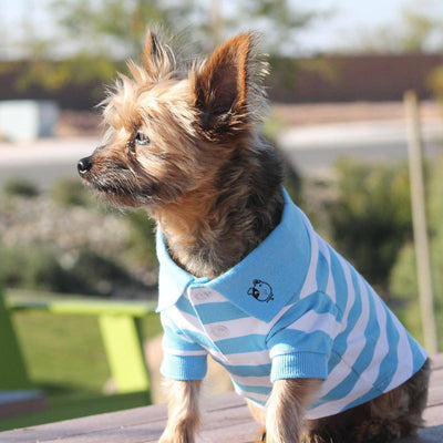 100% Blue Striped Dog Polo Shirt | Pawlicious & Company