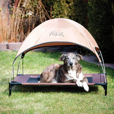 Brown Dog Cot Canopy for Large Cots | Pawlicious & Company