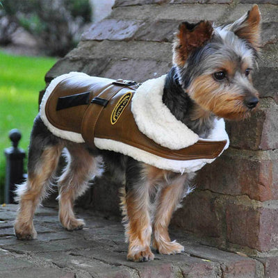 Brown Faux Leather Bomber Dog Harness Coat | Pawlicious & Company
