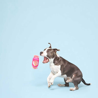 Bark Bubble Gum Plush Dog Toy