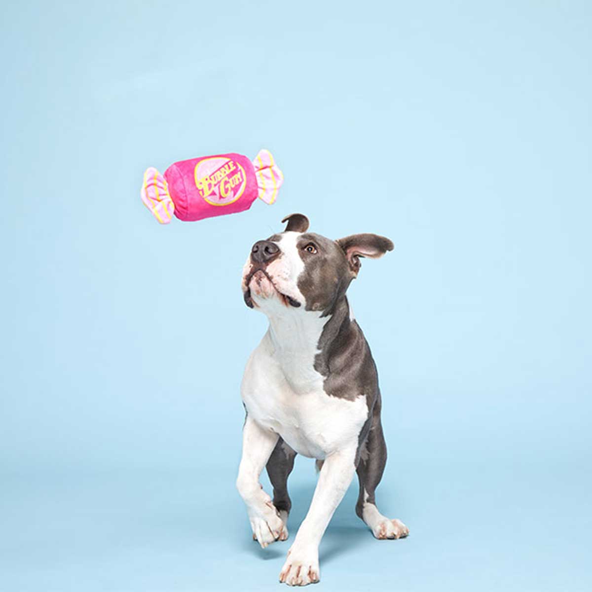 Bark Bubble Gum Plush Dog Toy
