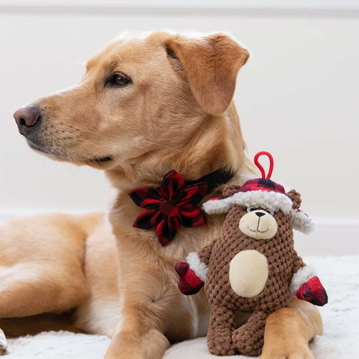 Buffalo Check Collar Flower | Pawlicious & Company
