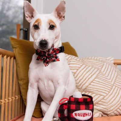 Buffalo & Snow Flake Collar Flower | Pawlicious & Company