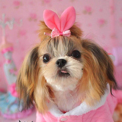 Bunny Ear Clip-On in Bright Pink | Pawlicious & Company