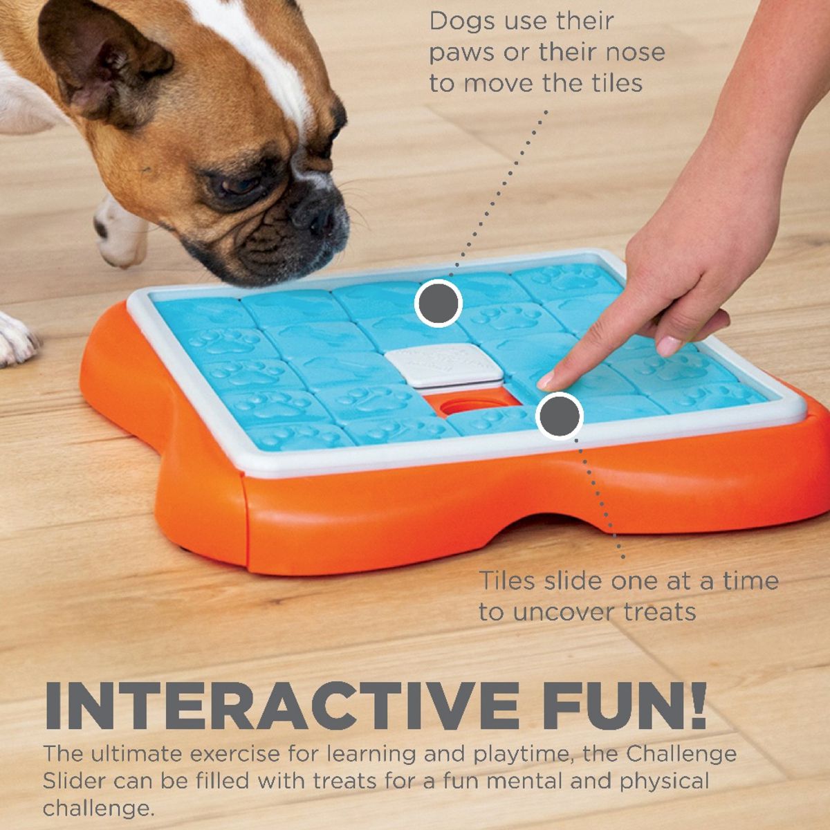 Challenge Slider Dog Game - Advanced | Pawlicious & Company