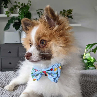 Cocktail Party Dog Bow Tie | Pawlicious & Company