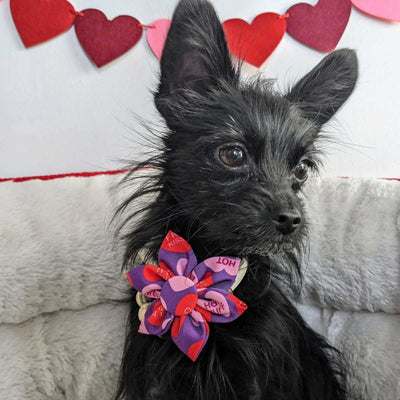 Convo Hearts Collar Flower