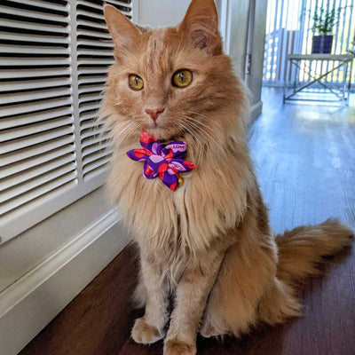 Convo Hearts Collar Flower