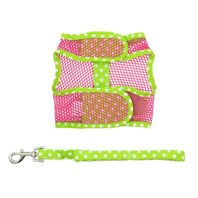 Cool Mesh Dog Harness - Green Frog | Pawlicious & Company