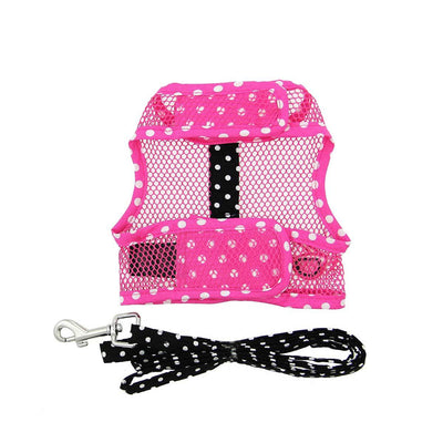 Cool Mesh Dog Harness - Sunglasses | Pawlicious & Company