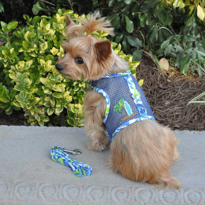 Cool Mesh Dog Harness - Surfboard Blue and Green | Pawlicious & Company