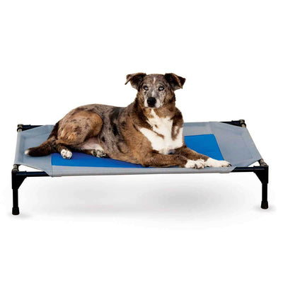 Gray Blue Cooling Dog Cot with Waterproof Fabric - Large | Pawlicious & Company