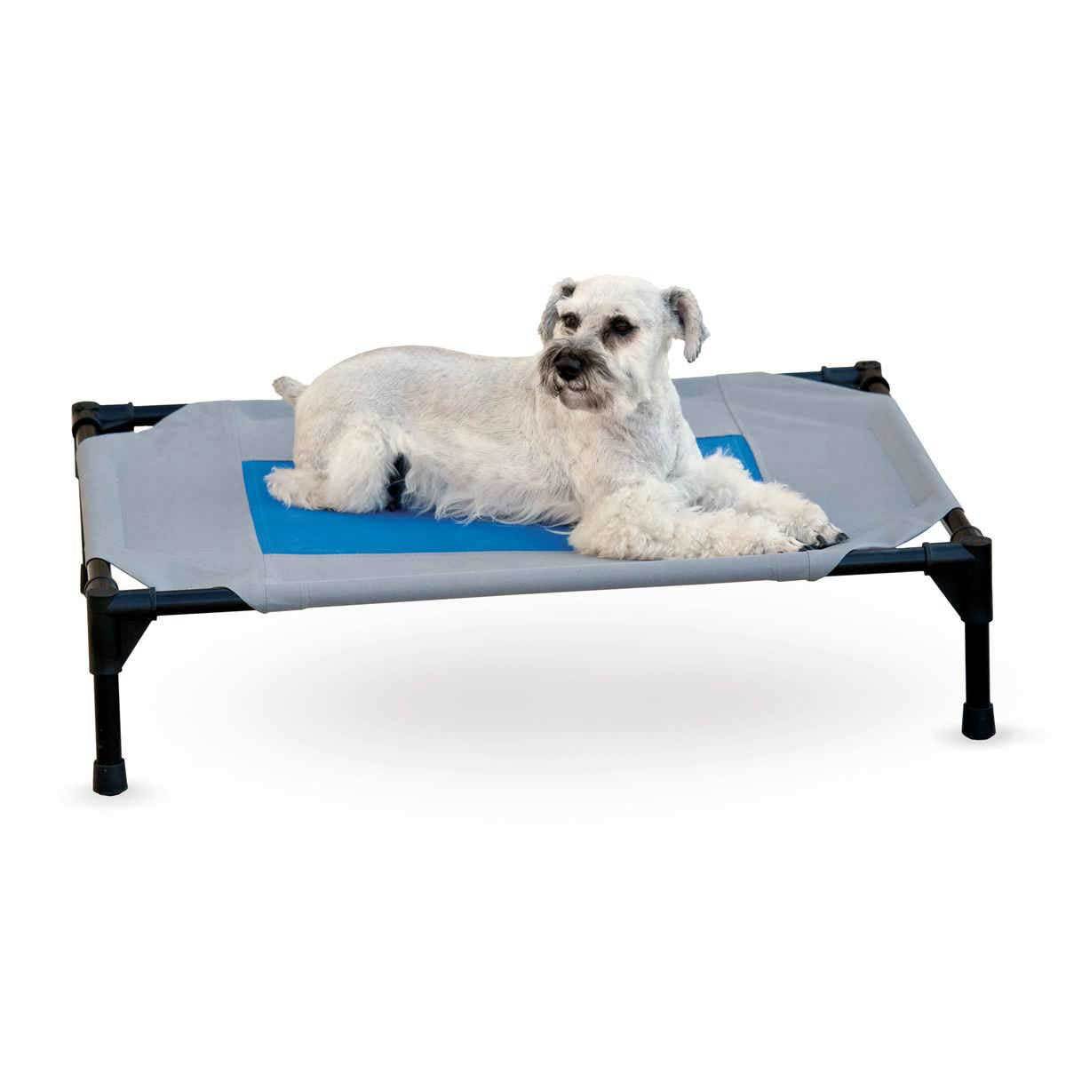 Gray Blue Cooling Dog Cot with Waterproof Fabric - Large | Pawlicious & Company