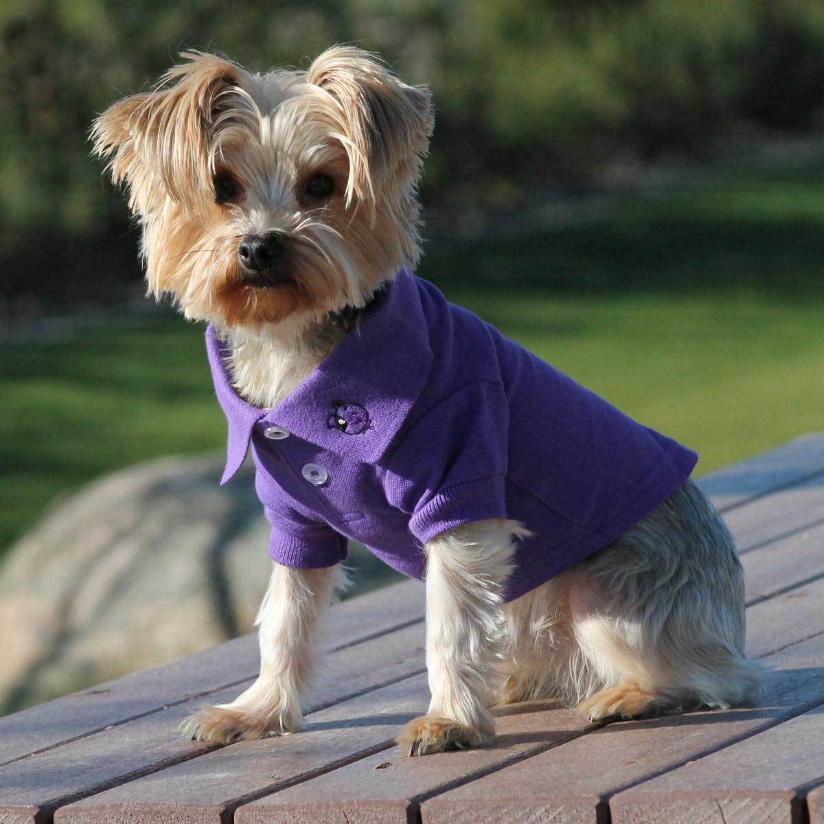 100% Cotton Polo Shirts in Violet | Pawlicious & Company