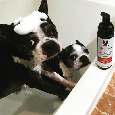 Warren London Cucumber Melon Foamng Facial | Pawlicious & Company