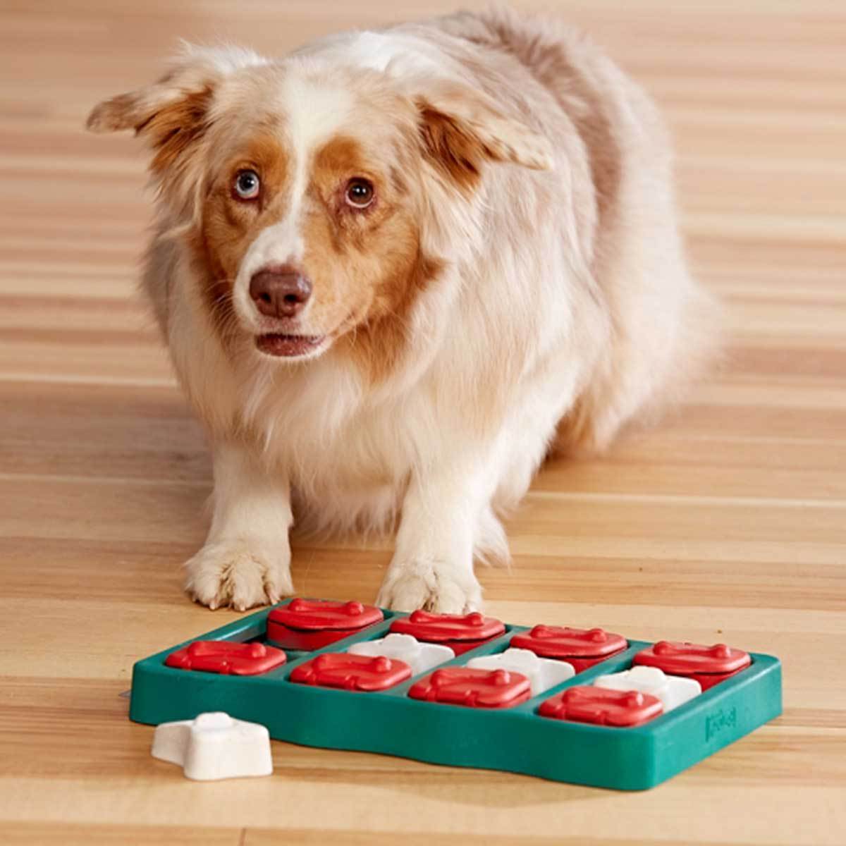 Dog Brick Puzzle Game Dog Toy - Intermediate | Pawlicious & Company