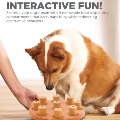 Dog Smart Orange Puzzle Game - Easy | Pawlicious & Company