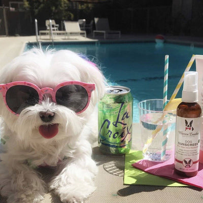 Warren London Dog Sunscreen with Aloe Vera Moisturizer | Pawlicious & Company
