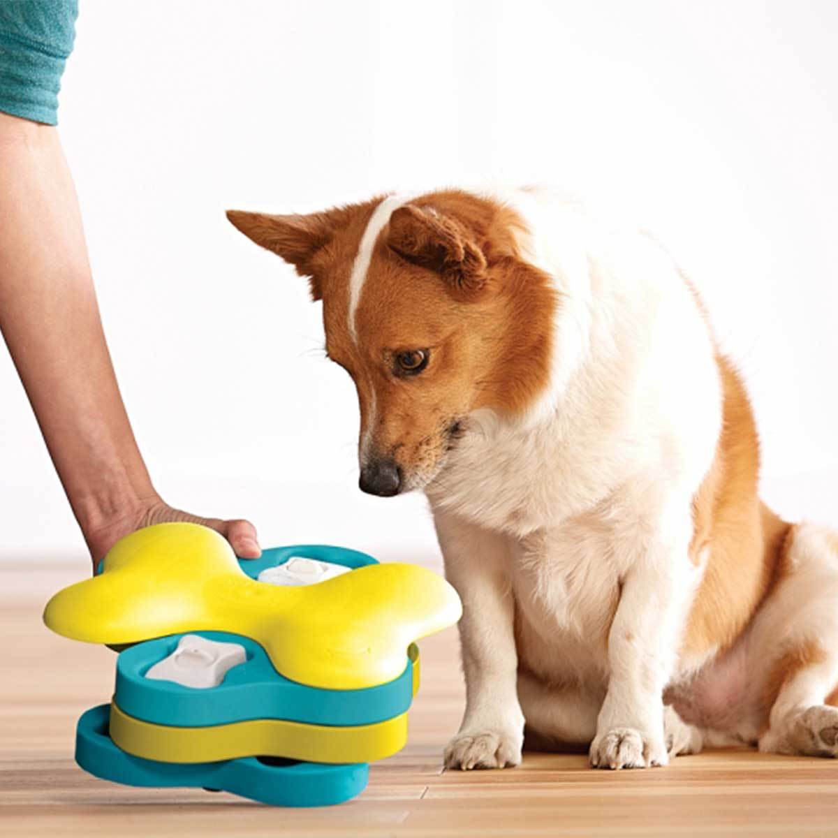 Dog Tornado Puzzle Game Doy Toy - Intermediate | Pawlicious & Company