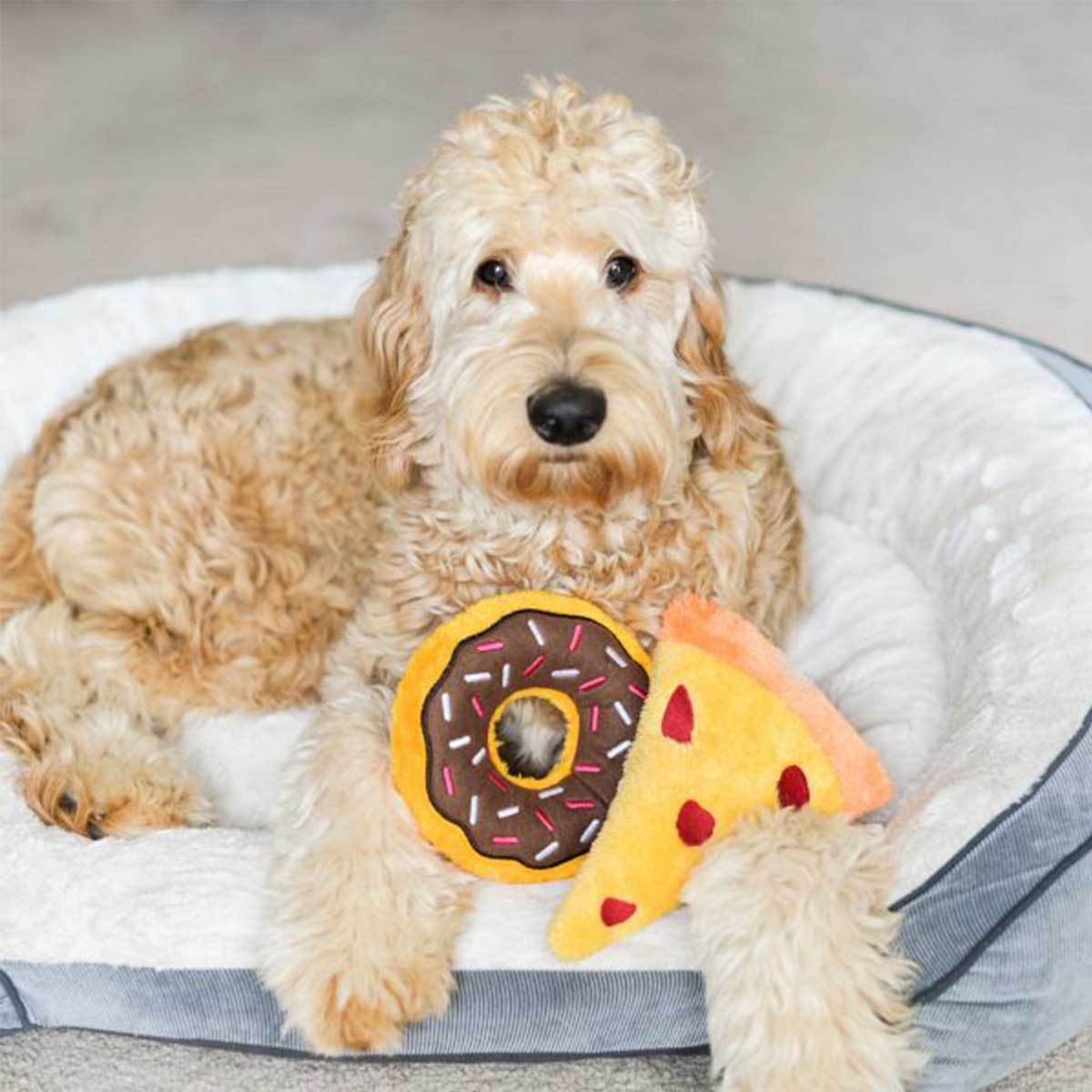Donutz Chocolate Plush Dog Toy | Pawlicious & Company